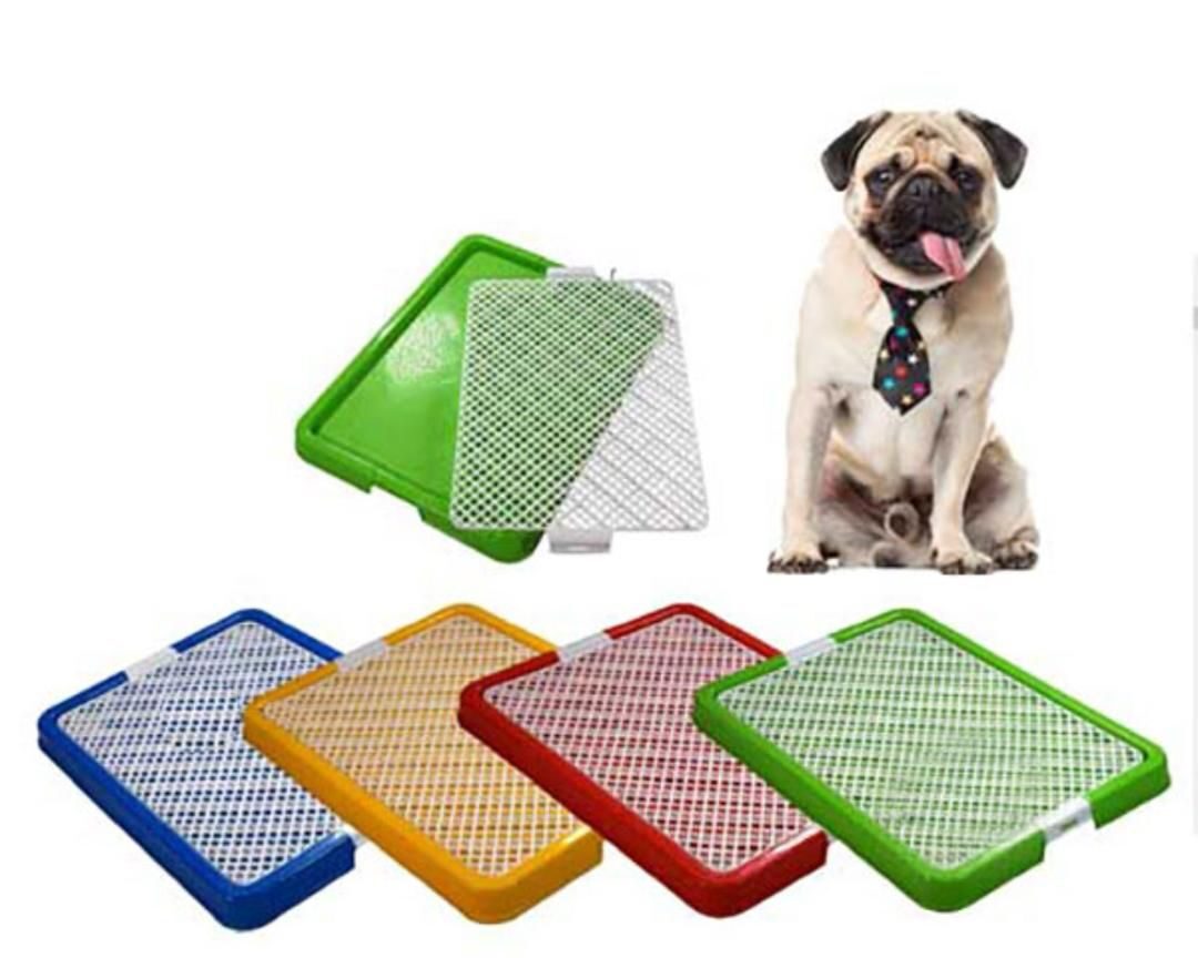 سینی توالت دارای مخزن برای جمع شدن ادرار