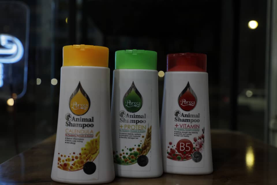 شامپو ویتامینه مشترک سگو گربه